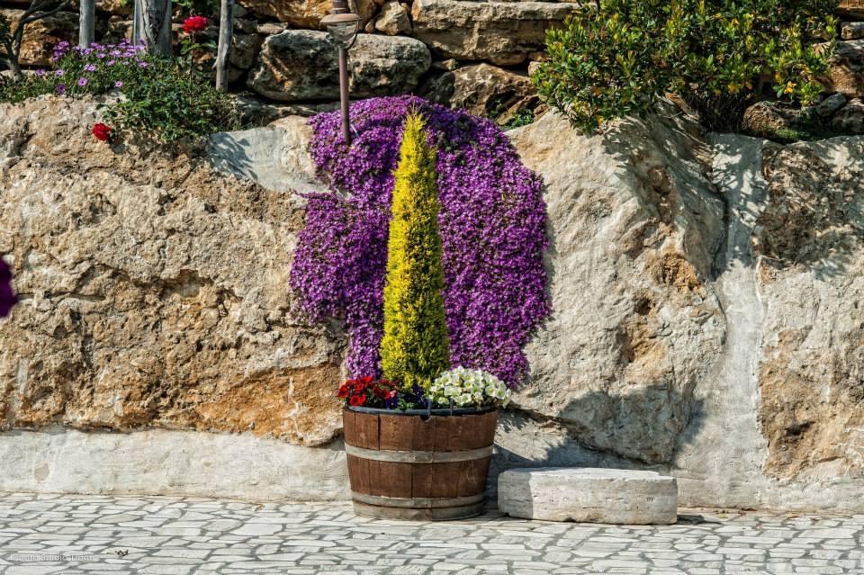 Il Giardino Dei Flintstones B&B Черветере Экстерьер фото